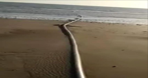 مسؤول بالإنتقالي يوجه بلاغا عاجلا للمحافظ لملس حول عمليات تهريب نفط غرب عدن