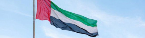 الوطن العربي والعالم يتضامن مع الإمارات
