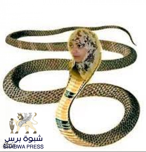 بوق الإرهاب توكل كرمان.. أفعى مؤتمر واشنطن المشبوه