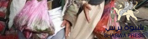 فضح إرهاب الحوثي وتبعاته..جزءٌ من تصدي الجنوب للمليشيات
