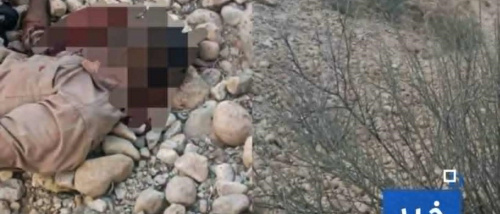 تفجير روضة شبوة الإرهابي يؤكد نشاط العليمي والإخوان وتحريك خلاياهم لإشغال القوات الجنوبية