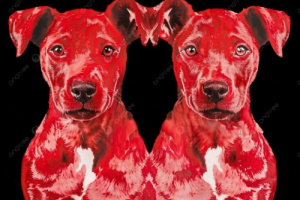 هـنيئآ للــكلاب الحُـمـر لا عـــدّن..؟؟