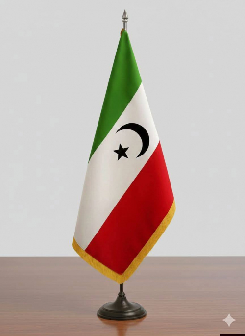 أبناء المهرة يرفضون الزج بمحافظتهم في إقليم حزب الإصلاح ومشاريع باتيس والخنبشي