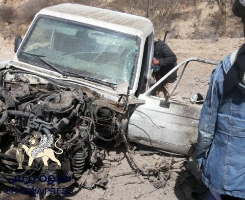 هروب عناصر الإرهاب التابعين لفرقة ‘‘الأحمر‘‘ الأولى من أبين إلى محافظة البيضاء اليمنية 