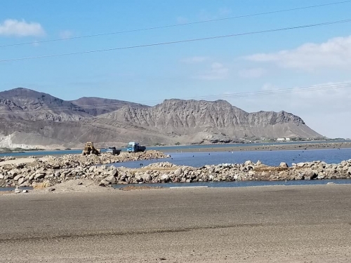بسبب أعمال السطو والبلطجة على الأراضي في عدن سقوط عدد كبير من القتلى والجرحى 