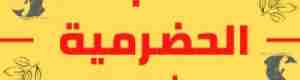 قيادة الهبة الحضرمية: "إبراهيم حيدان" أخلّ بتعهداته