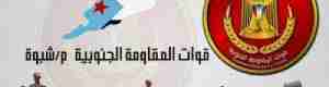 جمعية شهداء المقاومة الجنوبية بشبوة تدين وتشجب اشهار المجلس السياسي لطارق عفاش