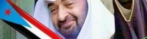 مؤلف كتاب «25 يوماً إلى عدن» يلخص أهم دروس المعركة في اليمن