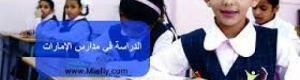 في الإمارات.. عادت الحياة إلى طبيعتها فعاد الأمل والتفاؤل من جديد