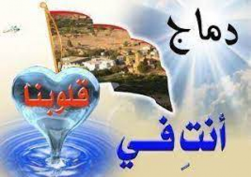 مصيدة الدفاع عن السنة لهلاك شباب الجنوب