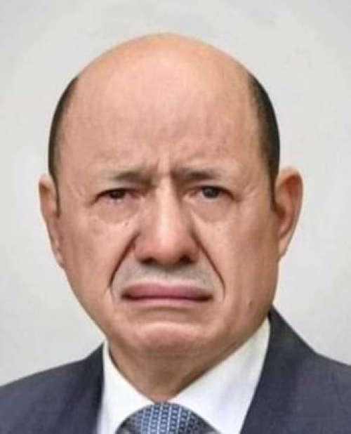 العليمي زار تنزانيا سرا وأمليت عليه تصريحاته الأخيرة