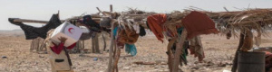 الهلال الإماراتي تواصل جهودها الإغاثية والإنسانية في محافظة حضرموت
