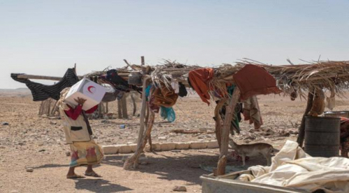 الهلال الإماراتي تواصل جهودها الإغاثية والإنسانية في محافظة حضرموت