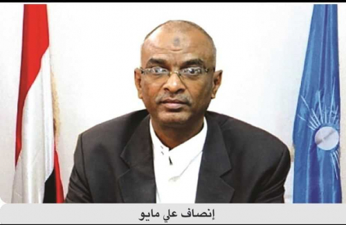 افتحوا ملفاتهم .. أولهم وحيد رشيد وانصاف مايو