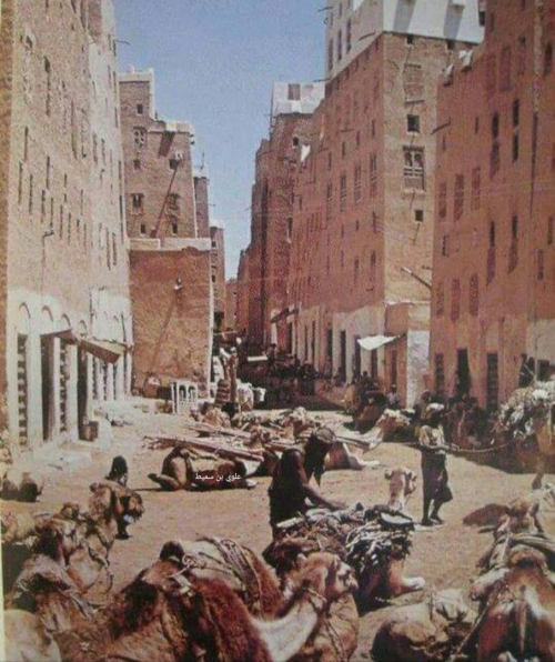 قوافل التجارة من وإلى شبام