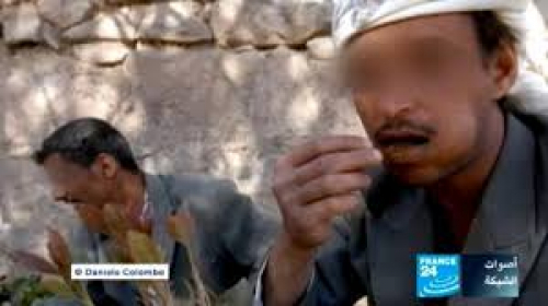 سفراء يمنيون في بلدان أجنبية لا يجيدون لغاتها ليخاطبوا مسئوليها