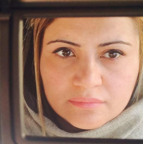 جمهورية الأصهار.. حين تتحول الدولة إلى دفتر عائلة وتُستبدل الكفاءة بالمصاهرة