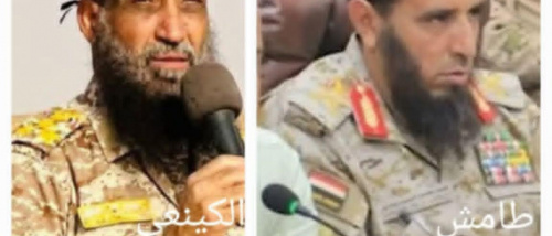 الاعتماد على قوات غير محلية رهان خاسر.. ودعم الدولة الجنوبية الفيدرالية هو الحل