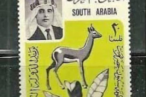 حضرموت قبل 67 لم تكن دولة موحدة.. بن شملان يفند أكذوبة &ldquo;الدولة الحضرمية&rdquo; ويؤكد كينونة الجنوب العربي