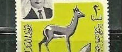 حضرموت قبل 67 لم تكن دولة موحدة.. بن شملان يفند أكذوبة &ldquo;الدولة الحضرمية&rdquo; ويؤكد كينونة الجنوب العربي