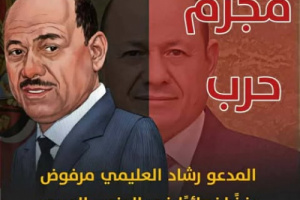 شرعية العليمي تصمت أمام الحوثي وتشن حربها على الجنوب