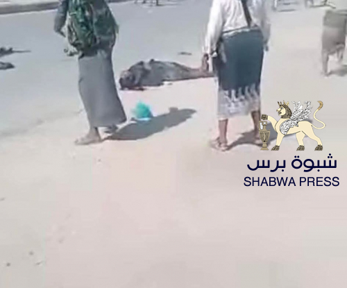 "شبوة برس" ينشر صورة أول شهيد في عتق برصاص قوات اللواء الأول دفاع شبوة 