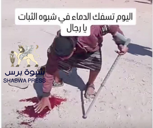 رسالة معمدة بدماء الشهداء لى جامعة الدول العربي ومنظمة التعاون الإسلامي والأمم المتحدة وإلى شعوب العالم