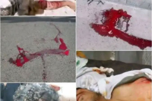 "سلطة شبوة عاجزة قانونيًا أمام الجريمة: لا حياد في لجنة التحقيق ودماء الشهداء فوق كل اعتبار"