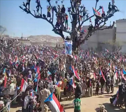 احتجاجات الضالع في الميزان الأوروبي.. اختبار لمصداقية النظام الدولي