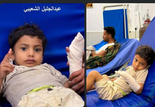 الشيخ بن بريك يدعو إلى وحدة الصف الجنوبي وتجنب مهاجمة المغتربين في الرياض