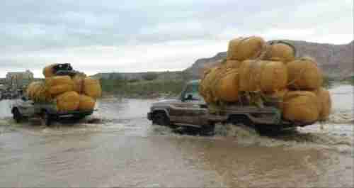 ميلشيا الإصلاح تتمرد على قرار البحسني وتسمح بدخول القات الى وادي حضرموت