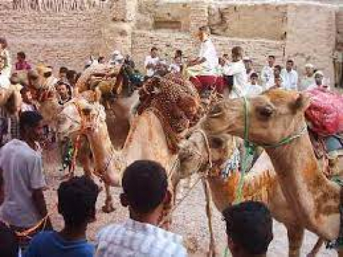 انطلاق أولى فعاليات زيارة نبي الله هود عليه السلام السنوية بحضرموت