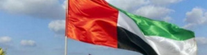 أوكرانيا وفلسطين والصومال وسوريا وتركيا.. الإمارات تخفف أوجاع العالم