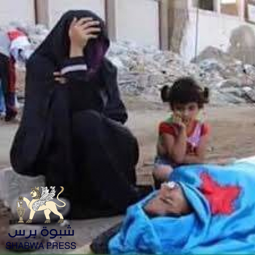 جازوليت: معاناة شعب الجنوب تفوق الظلم الواقع على الفلسطينيين