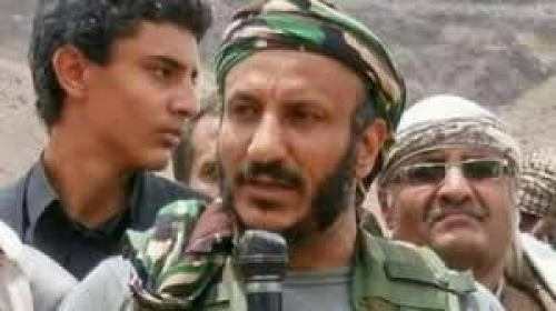 جمهورية المخا.الصغرى. لصاحبها طارق عفاش 