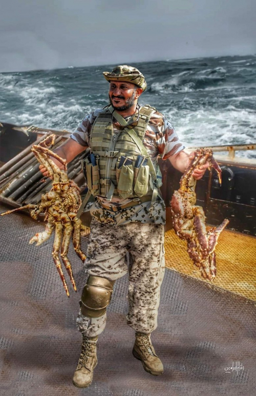 صحفي تهامي: بعد أن رفضت كل اليمن استقباله... ماذا يفعل طارق بالمخا؟