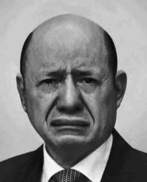 رشاد العليمي يصدر 335 قرارا لم يعلن عنها