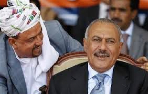 البركاني: نشاط مجلس النواب عبر جروب واتساب