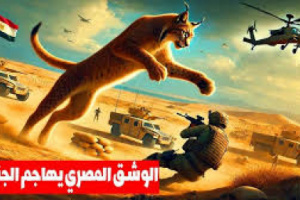 الوشق المصري ولعنة الفراعنة التي أصابت جنود إسرائيل (صور)