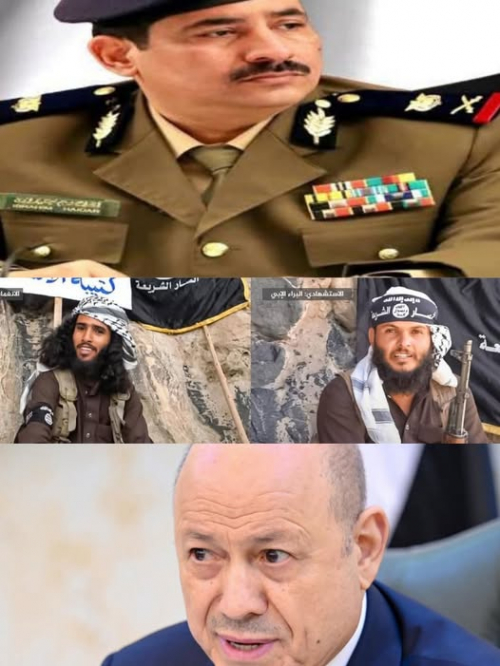 فضيحة مدوية.. توجيهات العليمي وحيدان تمنح قتلى القاعدة صفة &ldquo;شهداء&rdquo; ضمن مليشيات الطوارئ