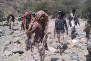 تفكيك القوات وتسليم الأرض.. سلطة الأمر الواقع تفتح الطريق لعودة القاعدة في أبين