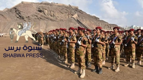 محلل سياسي يدعو الإنتقالي لسحب القوات الجنوبية المقاتلة خارج حدود الجنوب الدولية