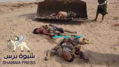 محلل سياسي: الجنوب المبتدأ في كسر شوكة الحوثي والمنتهى في استقرار المنطقة 