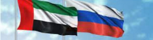 روسيا والإمارات يبحثان الوضع في اليمن