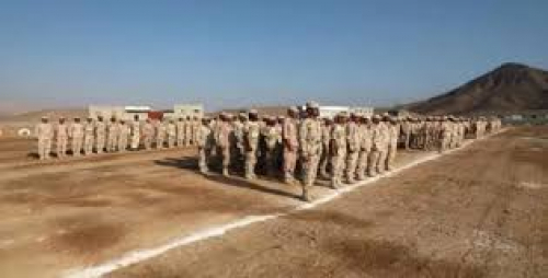 تفكيك &ldquo;لواء بارشيد&rdquo;.. هل تعود حضرموت إلى مربع الفوضى؟