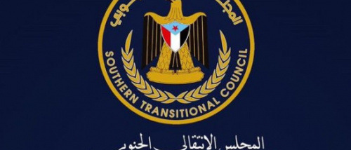 "مع الانتقالي نحو الهدف&hellip; وضد أخطائه".. أستاذ قانون دولي يدعو لتصحيح المسار لا هدم المشروع