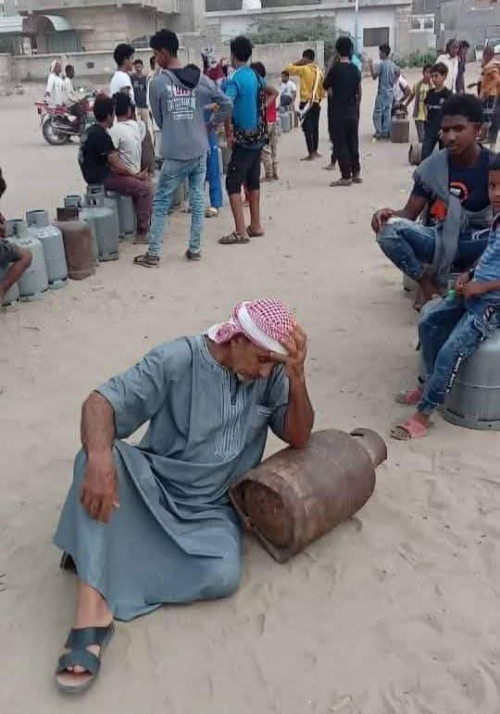 "الحمير" لمعالجة أزمة الغاز المأربي في عدن.. قراءة نقدية في مقال الكاتب "صالح أبو عوذل" 