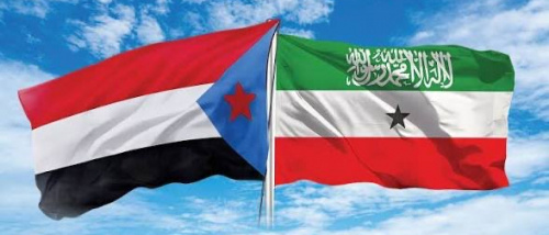 خذلان عربي لقضية صوماليلاند والجنوب يكشف فشل المؤسسات الإقليمية