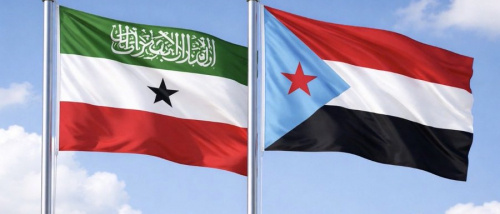 الجنوب وأرض الصومال.. إرث نضالي في مواجهة الهيمنة الإخوانية