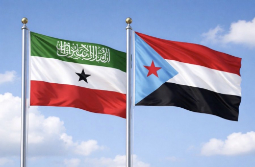 الجنوب وأرض الصومال.. إرث نضالي في مواجهة الهيمنة الإخوانية